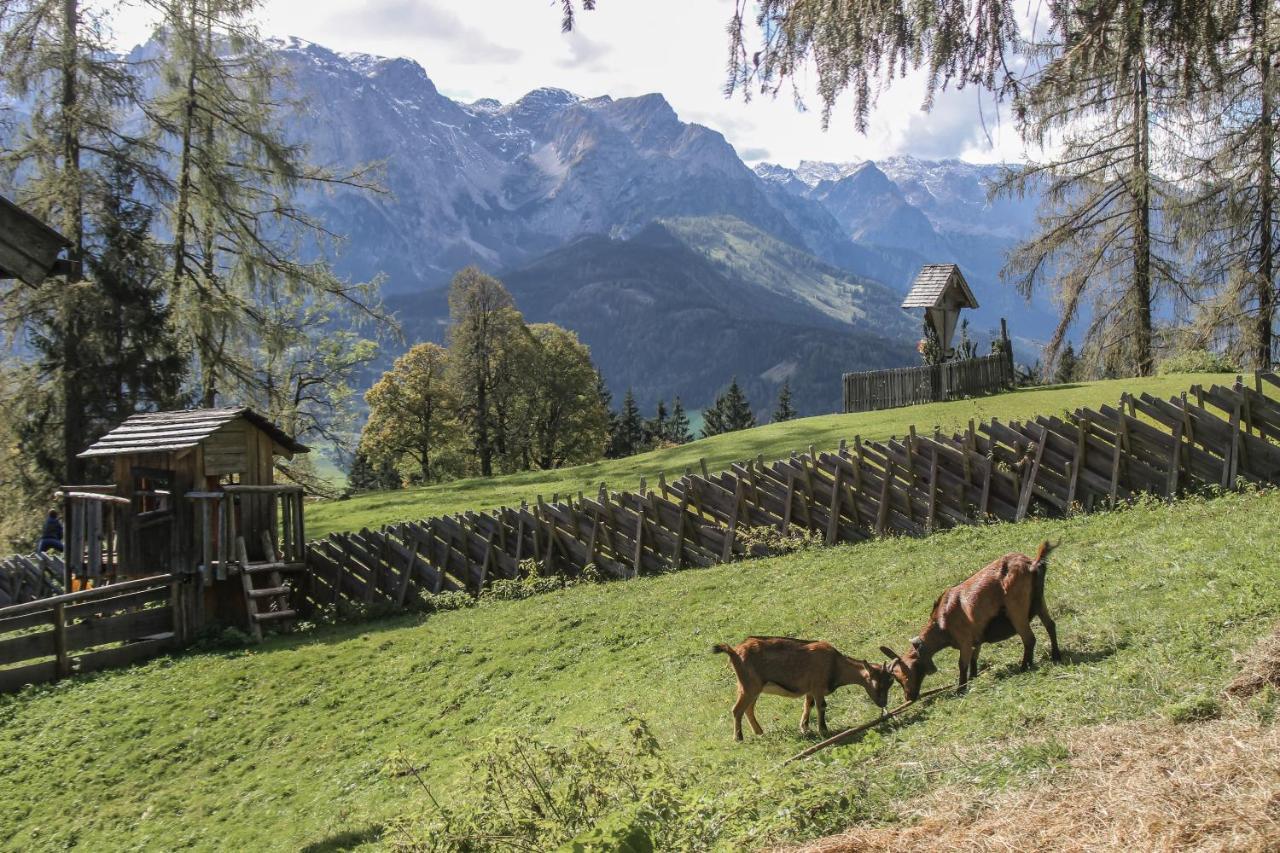 Hotel Haus Kathrin Werfenweng Exteriér fotografie